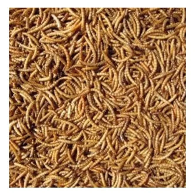 Hutton Mill Dried Mealworms 1kg Hutton Mill