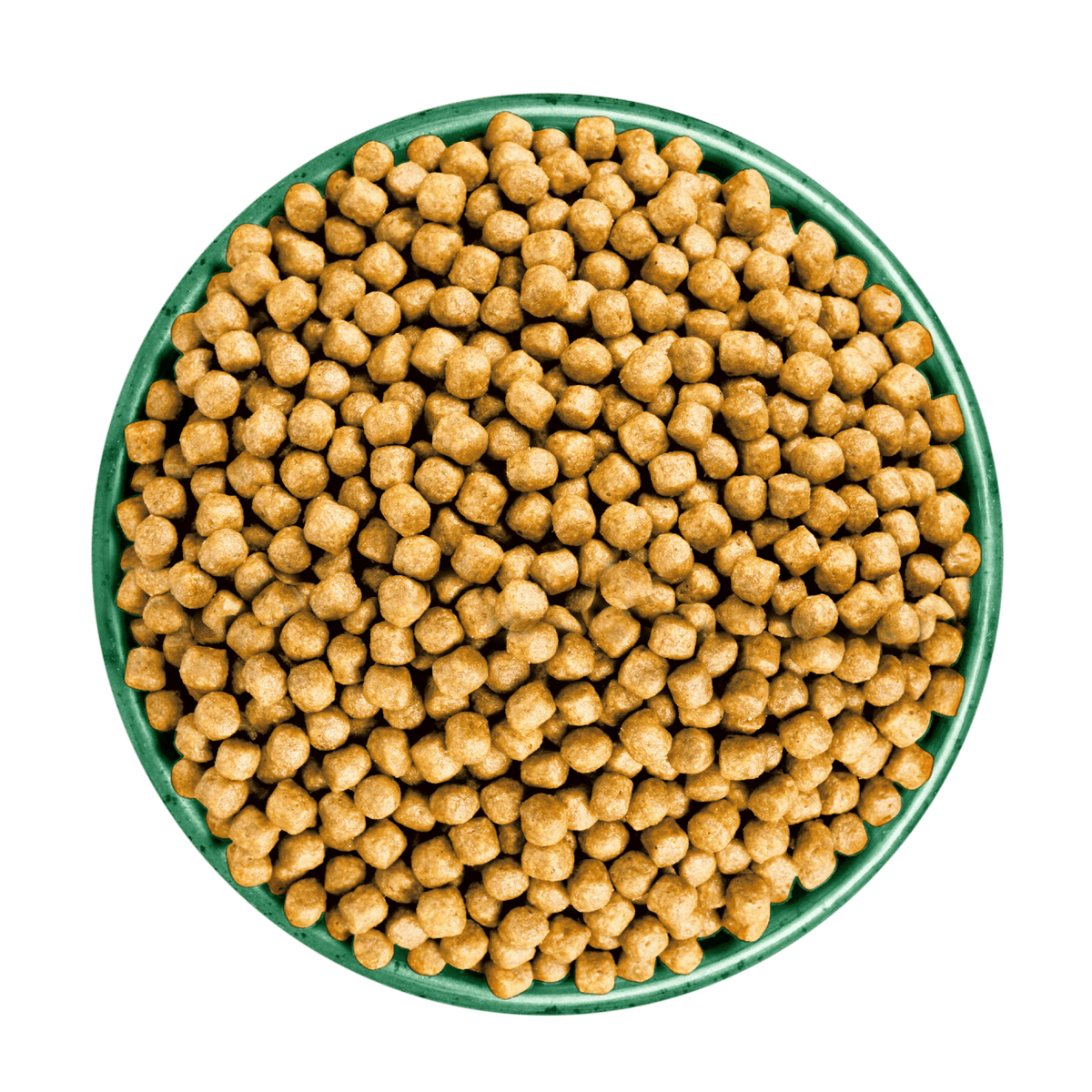 James Wellbeloved Senior Turkey & Rice Dry Cat Food 1.5kg Dry Cat Food James Wellbeloved