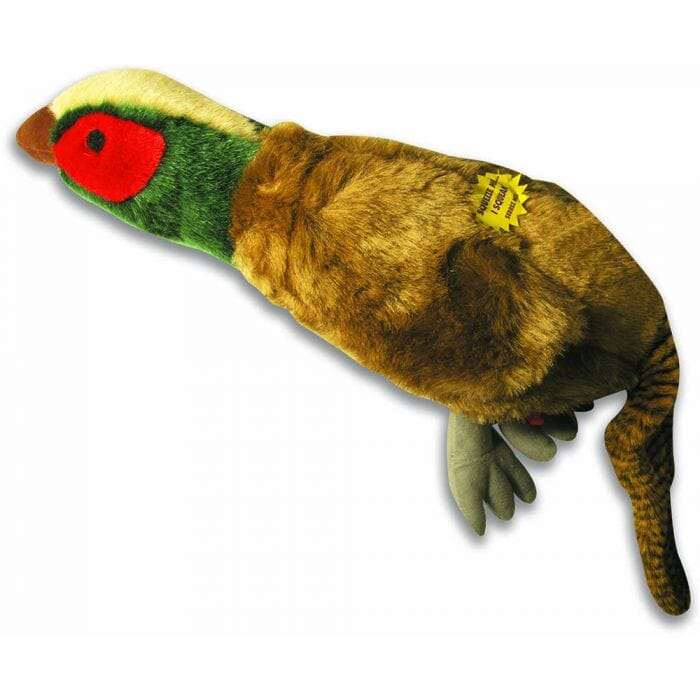 Happy Pet Migrator Pheasant - Medium Happy Pet