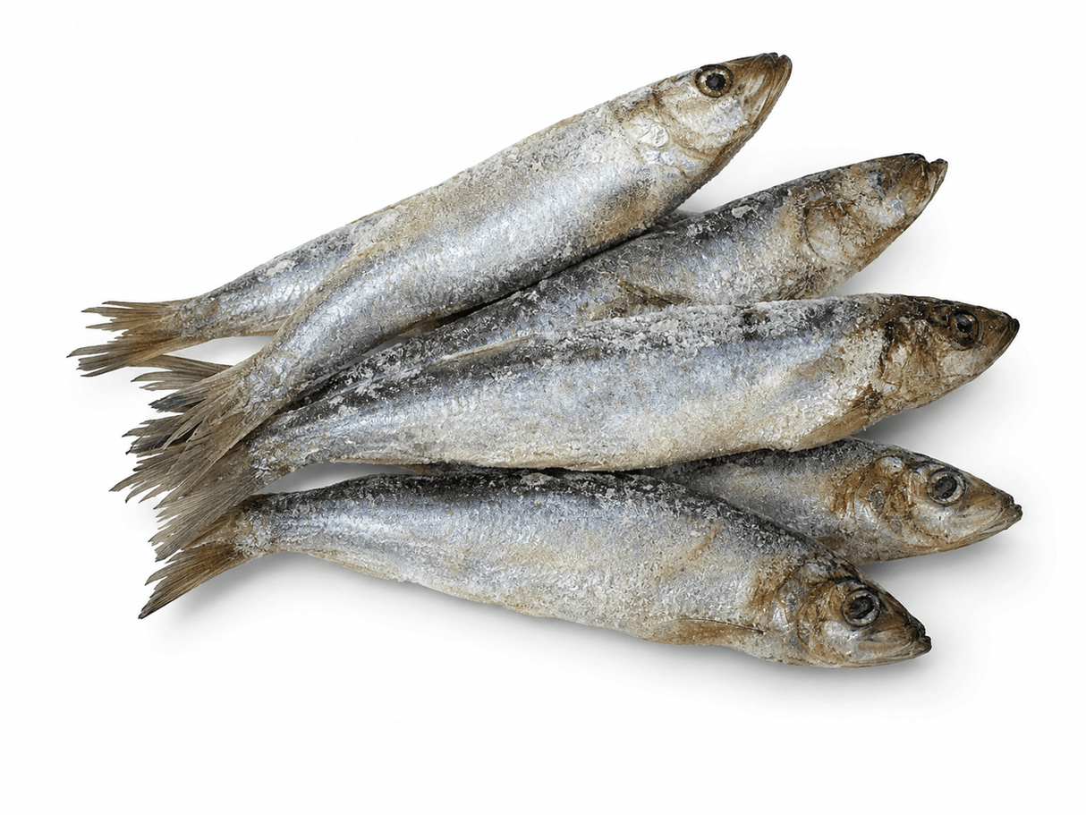 DAF Raw Herring 1kg ❄ Durham Animal Feeds