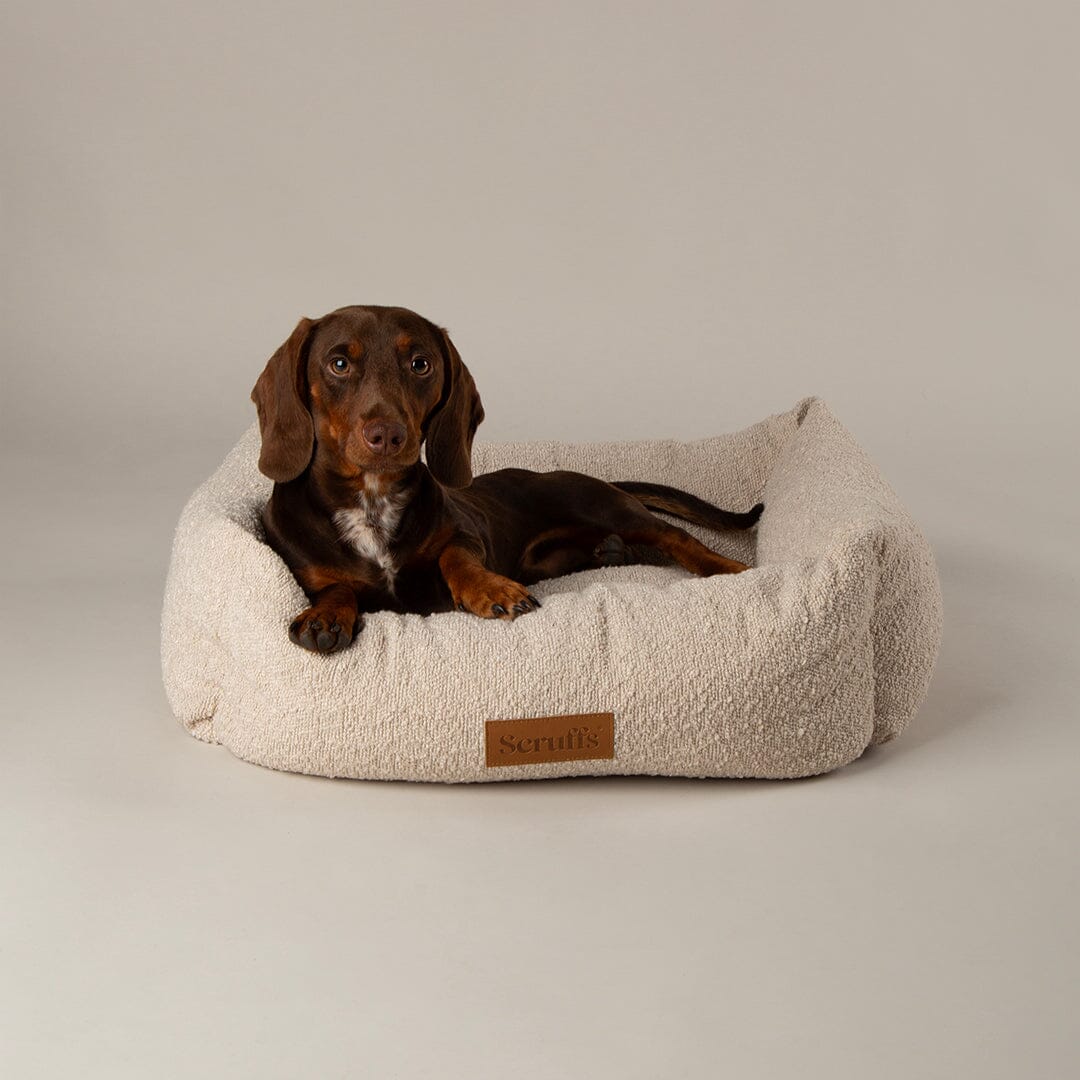 Scruffs Bouclé Dog Box Bed M - Ivory