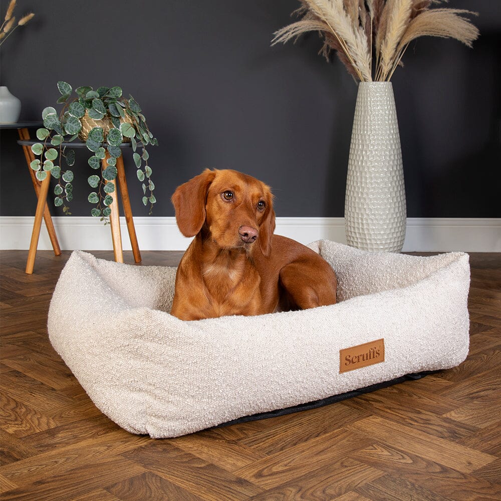 Scruffs Bouclé Dog Box Bed L - Ivory