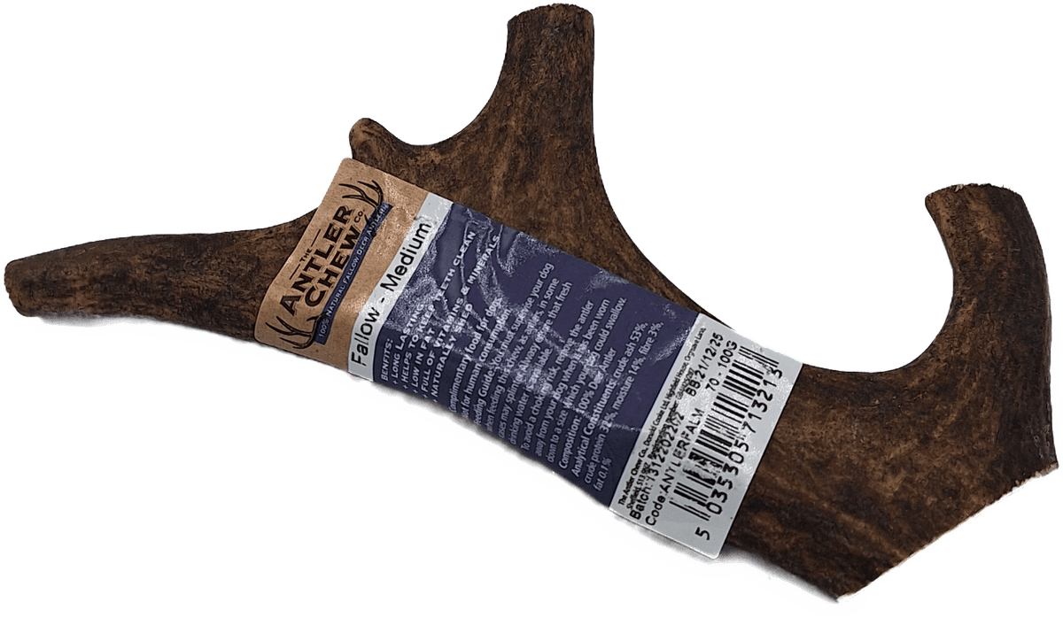 K9 Chew Co Fallow Antler Natural Dog Chew Medium Dog Treats K9 Chew