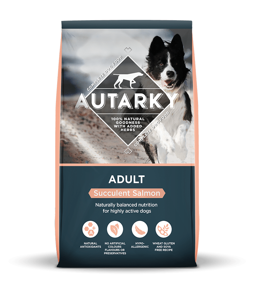Autarky Adult Succulent Salmon Dry Dog Food 12kg Dry Dog Food Autarky