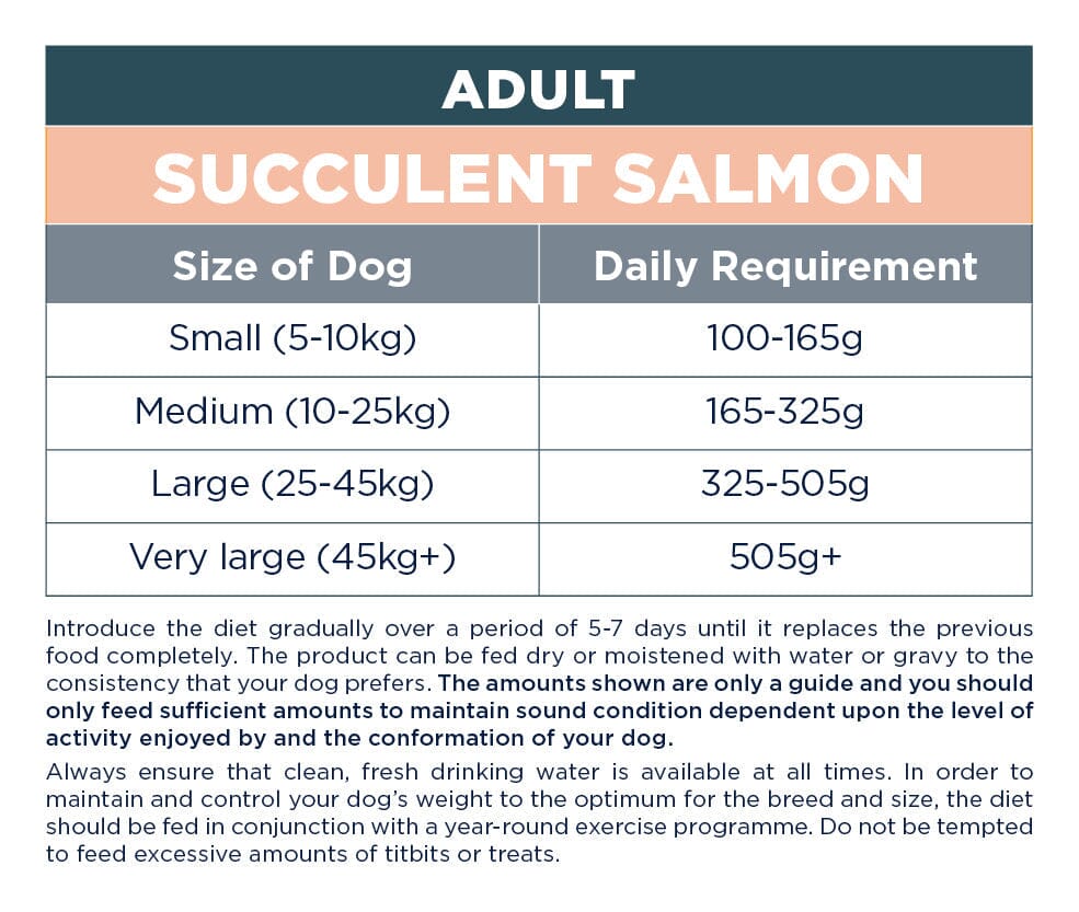 Autarky Adult Succulent Salmon Dry Dog Food 12kg Dry Dog Food Autarky