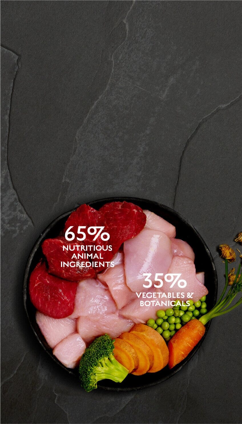 Canagan Chicken & Wild Boar Casserole Wet Dog Food 400g Wet Dog Food Canagan