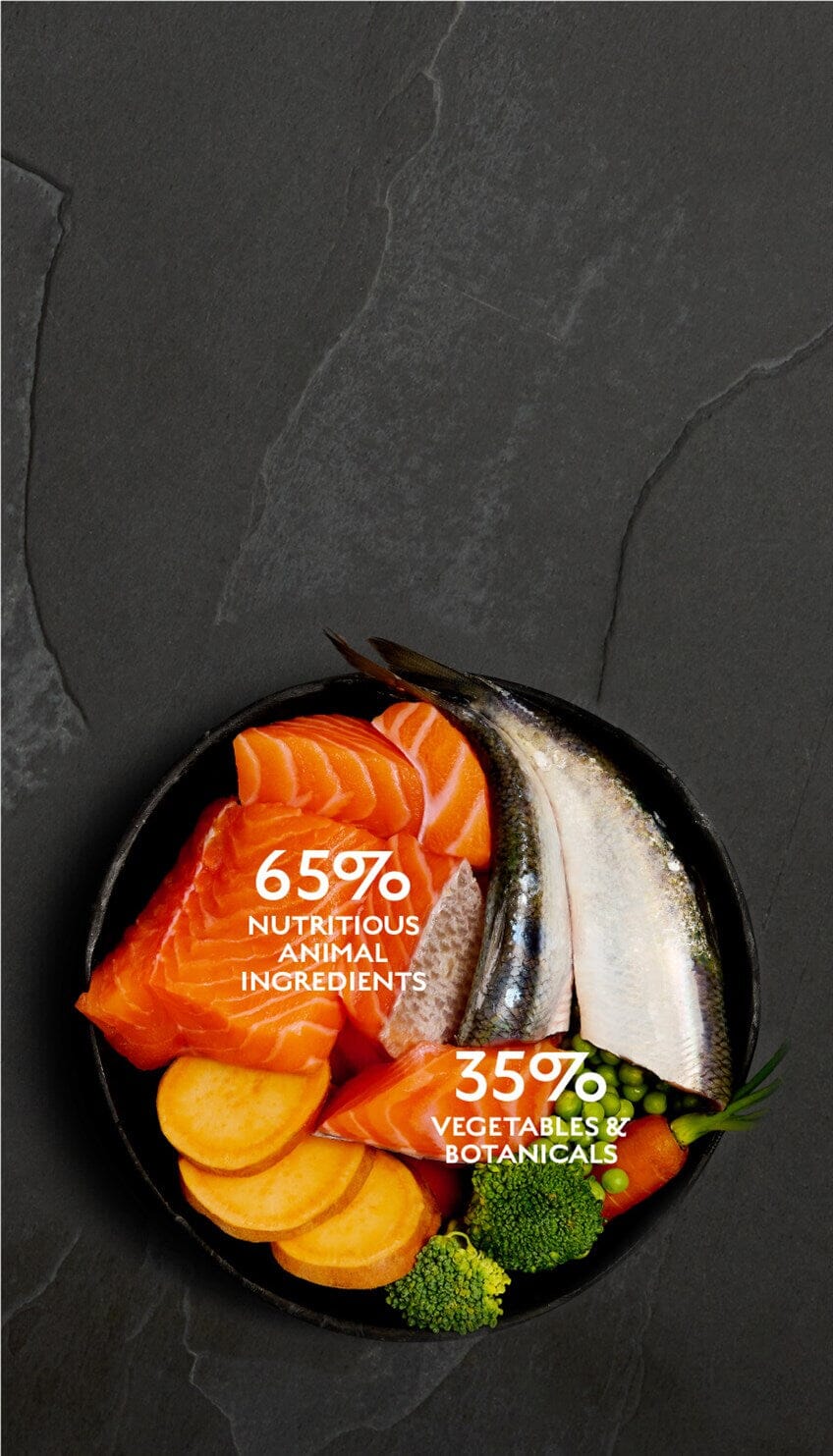 Canagan Salmon & Herring Supper Wet Dog Food 400g Wet Dog Food Canagan