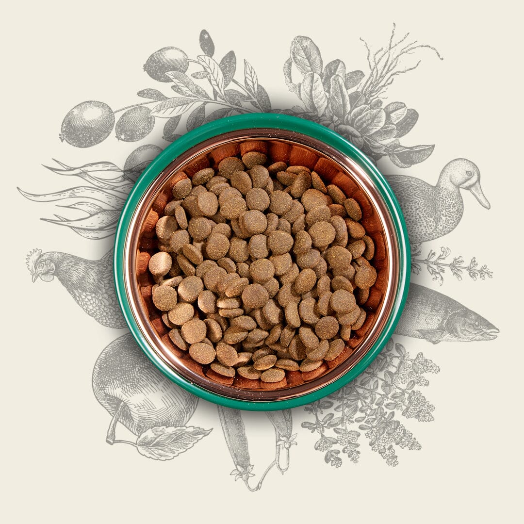 Eden Original Cuisine 80/20 Dry Dog Food 6kg – Medium Kibble Dry Dog Food Eden