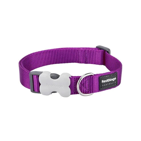 Red Dingo Dog Collar Classic Classic Bradlands Pet Supplies Purple XS