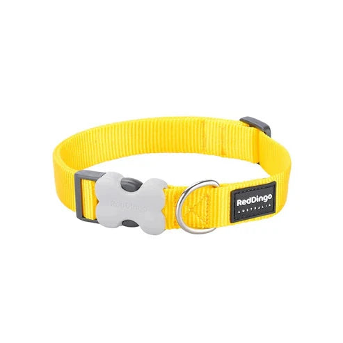 Red Dingo Dog Collar Classic Classic Bradlands Pet Supplies Yellow XS