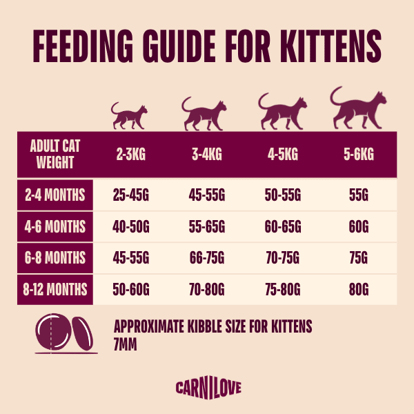 Carnilove ACTIVE Salmon & Turkey Kitten Dry Cat Food 2kg Dry Cat Food Carnilove