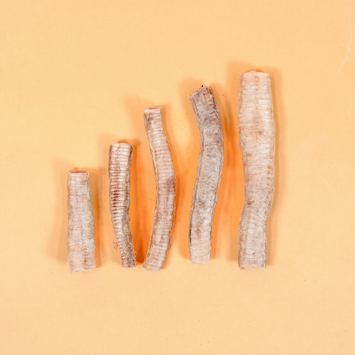 Waita Freeze Dried Goose Trachea 25g Freeze Dried Pet Treats Waita
