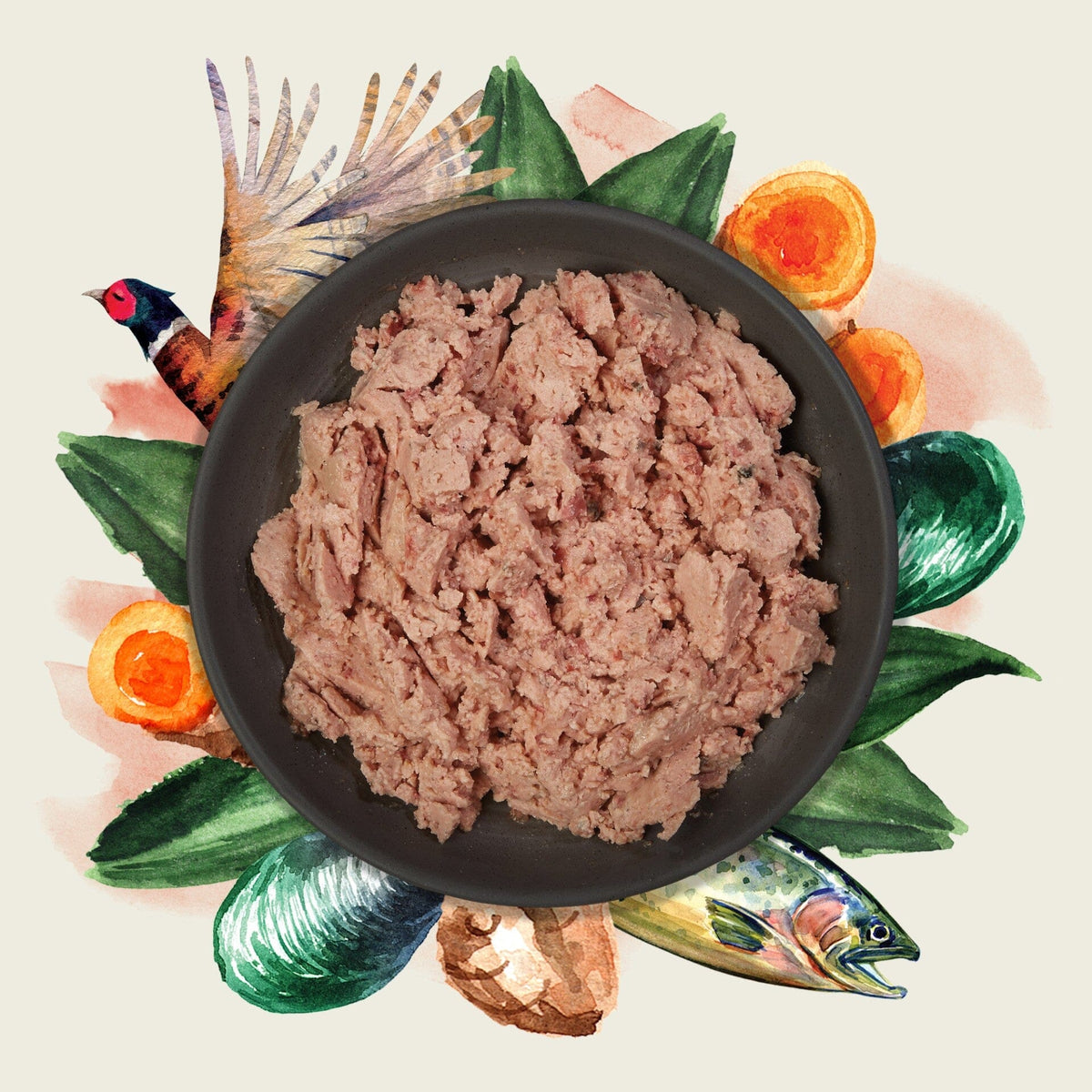 Eden Gourmet Salmon & Pheasant Wet Dog Food 400g Wet Dog Food Eden