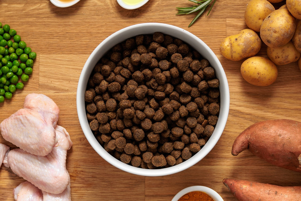 Dr John Grain Free Chicken & Potato Dry Dog Food 12.5kg Dry Dog Food Dr John