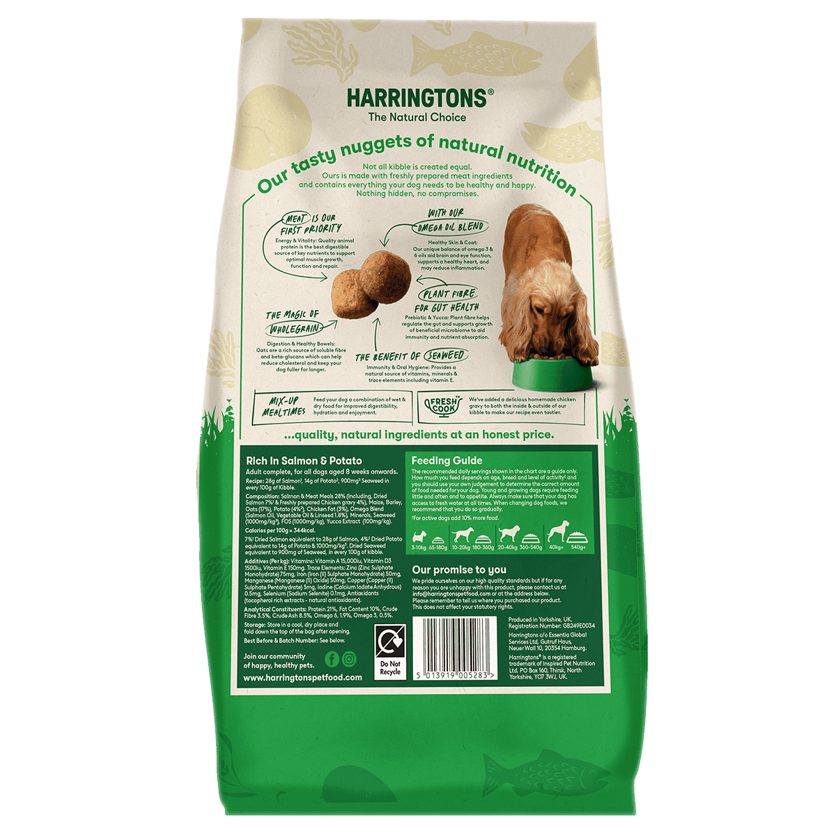 Harringtons Salmon & Potato Adult Dry Dog Food 1.7kg Dry Dog Food Harringtons