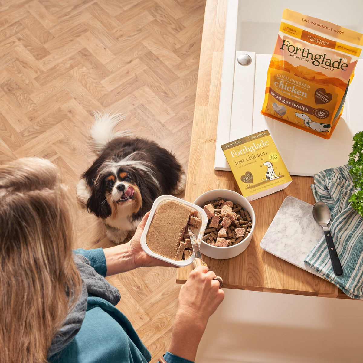 Forthglade Just Chicken Grain Free Wet Dog Food 395g Wet Dog Food Forthglade