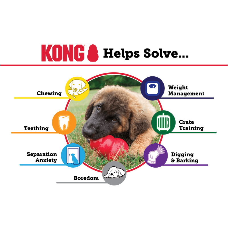 KONG Puppy Small EU Dog Toys KONG
