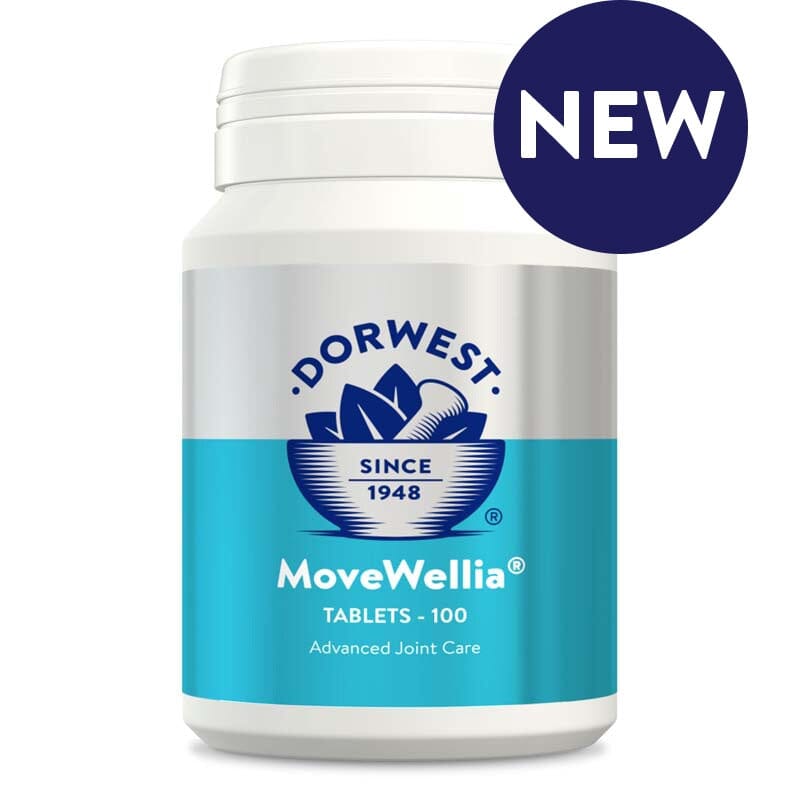 Dorwest Herbs Movewellia 100 Dorwest Herbs