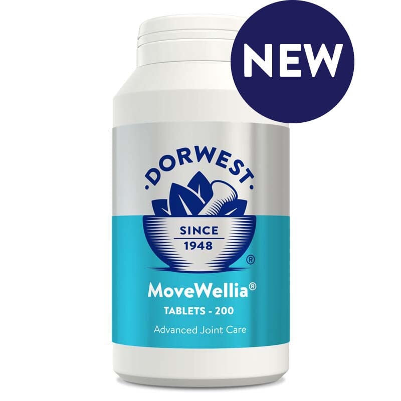 Dorwest Herbs Movewellia 200 Dorwest Herbs