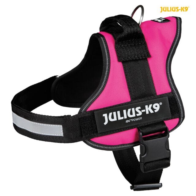 Julius K9 Harness Julius K9 Fuchsia Size 2