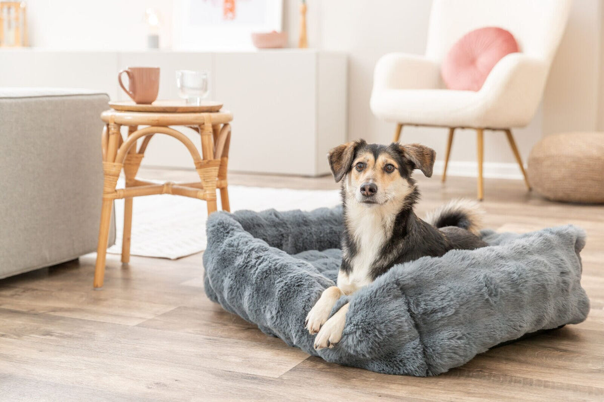 Trixie Elli Bed, Square, 80 x 60 cm, Dark Grey Dog Beds TRIXIE