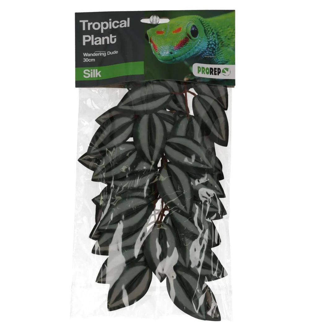 Pro Rep Hanging Plant Wandering Dude 30cm Pro Rep