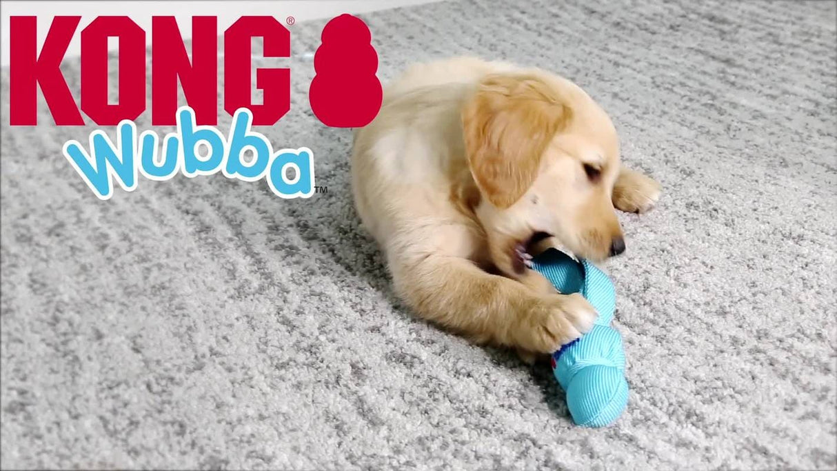 KONG Wubba Puppy Assorted Small EU Dog Toys KONG