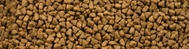 Alpha Ferret Feast Complete Ferret Food 2.5kg Ferret Food Alpha