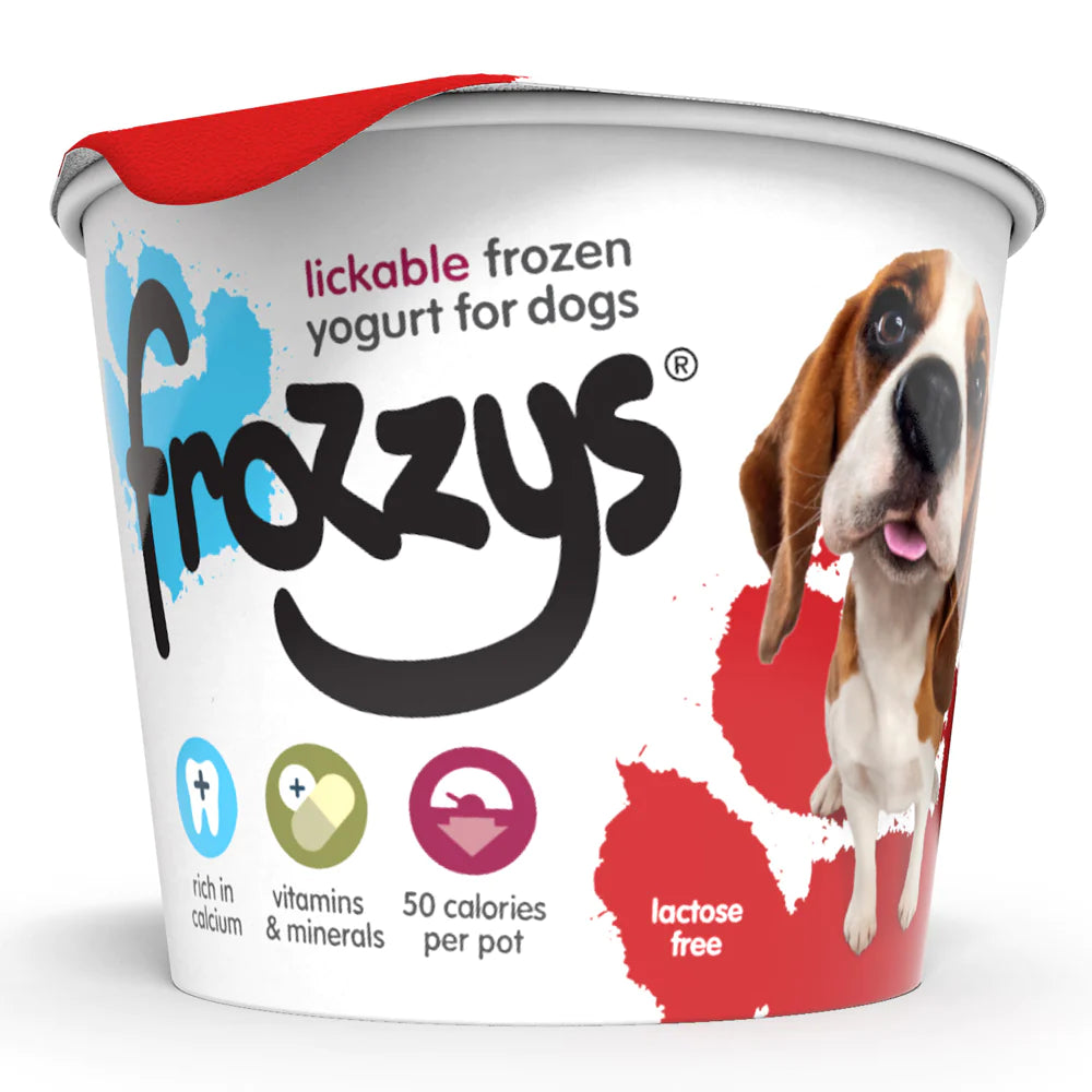 Frozzy Strawberry Frozen Yoghurt 85g Frozzy