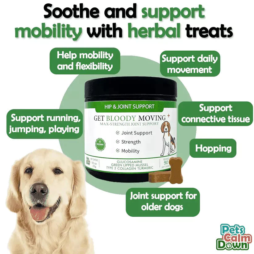 Get Bloody Moving Dog Treat 90pk Pets Calm Down