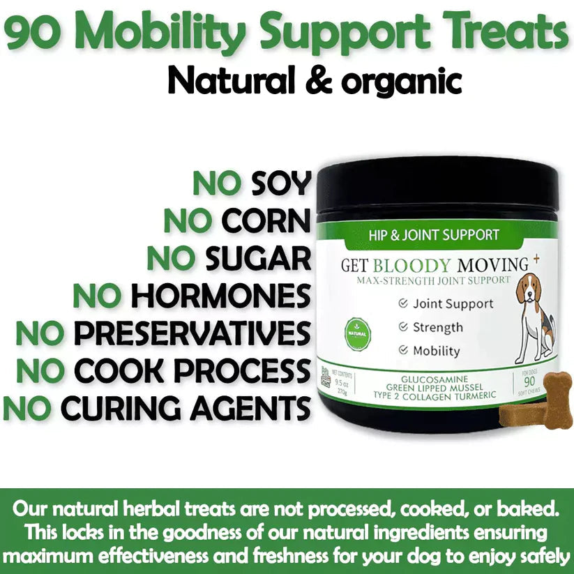Get Bloody Moving Dog Treat 90pk Pets Calm Down
