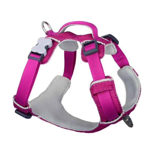 Red Dingo Sports Harness Red Dingo Fuschia XS