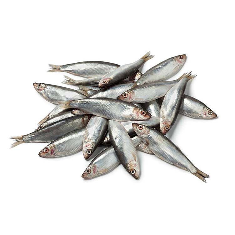 Dougies Whole Sprats Frozen 1kg ❄ Dougies