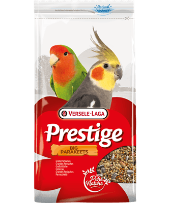 VL Big Parakeet Prestige 1kg Indoor Food Versele-Laga