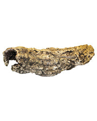 ProRep Cork Bark Small Tube Java Wood/Branches Pro Rep