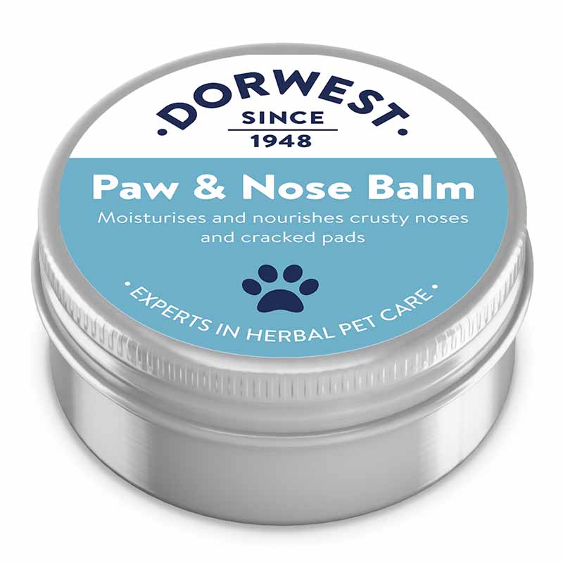 Dorwest Paw and Nose Balm 50ml Dog Treatments Dorwest Herbs