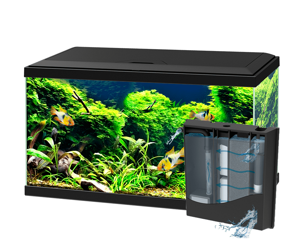 Ciano Aqua 60 LED Aquarium CIANO