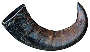 Trixie Buffalo Horn Medium Dog Treats Trixie