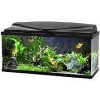 Ciano 80 LED Aquarium Black Tanks CIANO