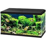 Ciano Aqua 60 LED Aquarium Black Tanks CIANO