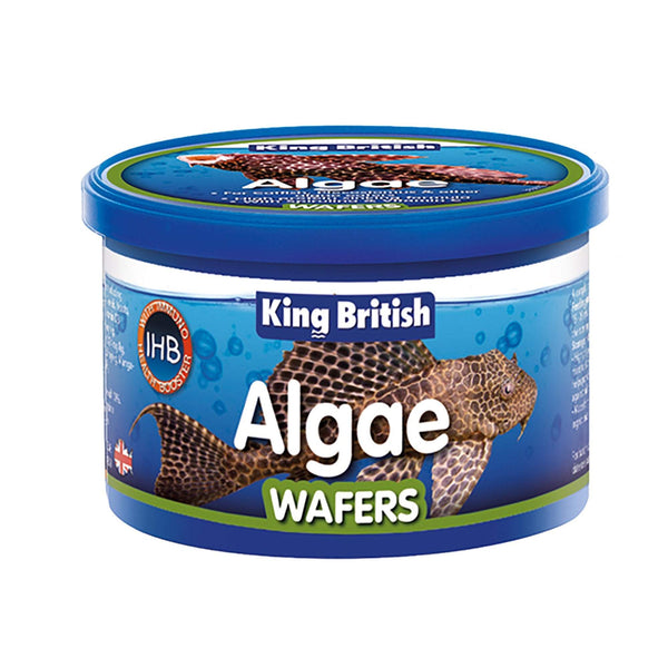 King British Algae Wafers 40g Fish Foods King British 