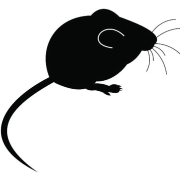 Mice Fuzzies Mice Peregrine