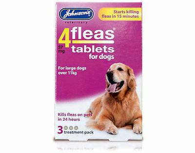 Johnsons4 Fleas 3pk Dog Dog Treatments Johnsons