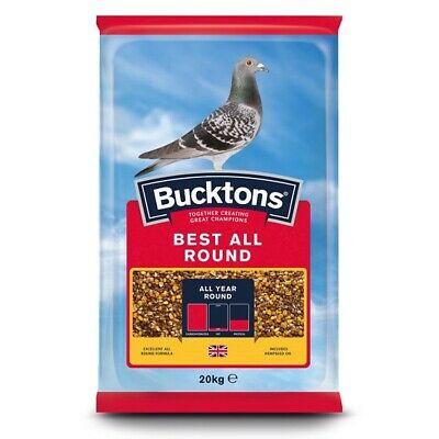Buckton Best All Round Pigeon Bucktons