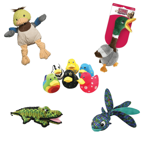 Dog Toys