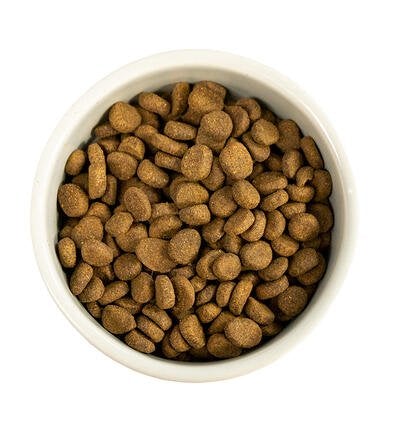 Dry Dog Food