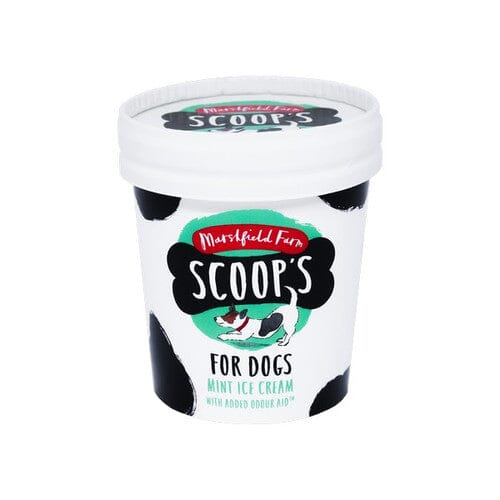 Scoops Mint Ice Cream 125ml ❄ Scoops 