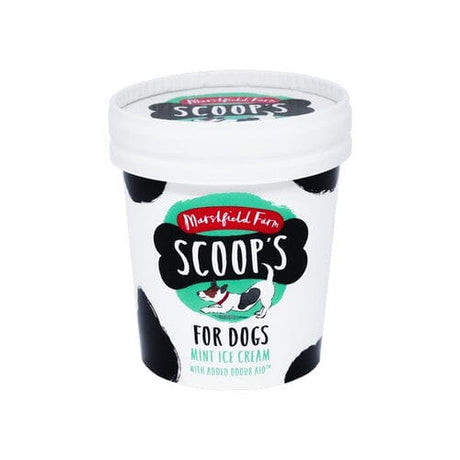 Scoops Mint Ice Cream 125ml ❄ Scoops 