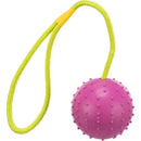 Trixie Purple Ball On Rope 30cm Trixie 