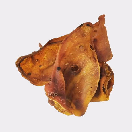 Pigs Ear 12 Pack K9 Chew 